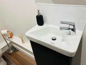 ein Badezimmer mit einem weißen Waschbecken und einem WC in der Unterkunft Apartment 5 Sullivan House in Hereford
