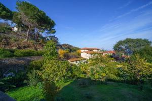 een luchtzicht op een tuin met bomen en huizen bij Villetta Sant'Andrea - Goelba in SantʼAndrea