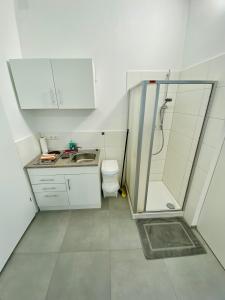 La petite salle de bains est pourvue d'une douche et de toilettes. dans l'établissement Jainzen Einzimmerferienwohnung mitten im Zentrum, à Bad Ischl