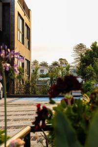 a view of a building with flowers in the foreground at Hotel Ossido Nero in Viña del Mar