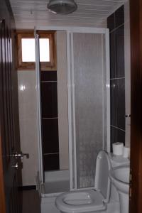 y baño con aseo, lavabo y ducha. en Nemrut Kommagene Hotel en Kahta