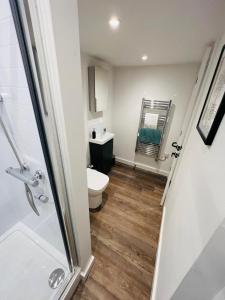 a bathroom with a toilet and a sink and a mirror at Apartment 7 Sullivan House in Hereford