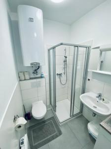 a bathroom with a shower and a toilet and a sink at Einzimmer-Apartment 25 m2 Gartenzinken im Zentrum von Bad Ischl in Bad Ischl
