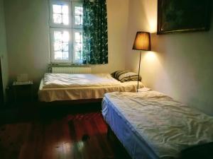 2 Betten in einem Zimmer mit Fenster und Lampe in der Unterkunft De Nachtegaal in Eláfion