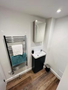 a bathroom with a sink and a mirror at Apartment 8 Sullivan House in Hereford