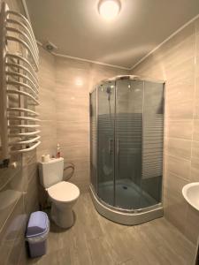 uma casa de banho com um chuveiro, um WC e um lavatório. em FORREST hotel em Bukovel