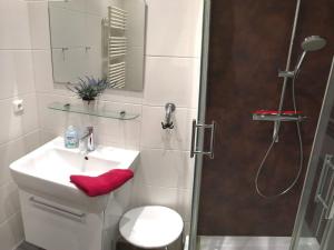 a bathroom with a toilet and a sink and a shower at Hamburg-App-06 in Ahlbeck