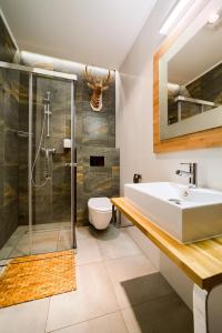 ein Badezimmer mit Waschbecken, Dusche und Toilette in der Unterkunft Wellness Apartamenty Złoty Widok in Szczyrk