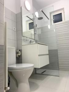 アルバ・ユリアにあるTransylvania Residenceの白いバスルーム(トイレ、シャワー付)