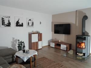sala de estar con chimenea y TV en Appartement Juffinger, en Thiersee