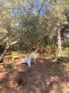 una zona de picnic con una mesa y una cuerda roja en Chalet en colline, en Cornillon-Confoux