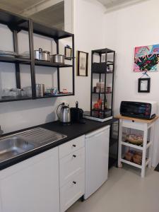 eine Küche mit einer Spüle und einer Arbeitsplatte in der Unterkunft Guiscarda Turismo in Bari