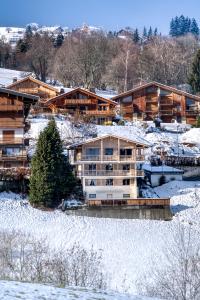 Apartments in Chalet Nessa v zimě