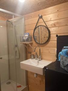 y baño con lavabo, ducha y espejo. en Chalet en colline, en Cornillon-Confoux
