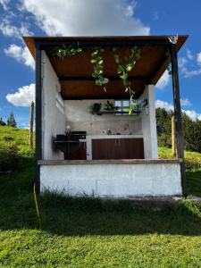 Domo في بيلو: مبنى صغير مع حوض في العشب