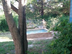a swimming pool in a yard next to a tree at Cabaña Acacia Mansa in Villa Giardino