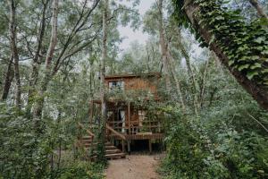 Zahrada ubytování Cabañas en el Bosque a 5 minutos del mar - Estancia CH