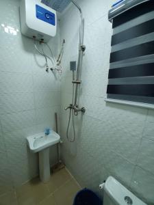 a bathroom with a shower and a toilet and a sink at DINERO JADE - One Bedroom Apartment in Lagos