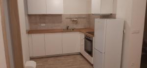 Kuchyň nebo kuchyňský kout v ubytování Apartman Josef