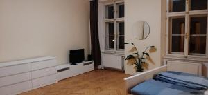 een slaapkamer met een bed en een televisie en een spiegel bij Apartman Josef in Praag