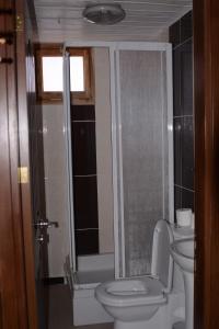 a bathroom with a toilet and a shower and a sink at Nemrut Kommagene Hotel in Kahta
