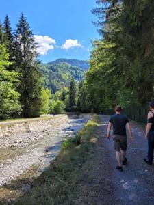 un hombre caminando por un camino de tierra junto a un río en Les Espaces Lichens 06, en Samoëns