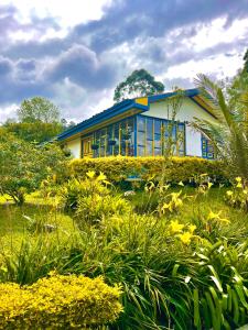 una casa azul y blanca con flores amarillas delante en El Rancho de Salento, en Salento