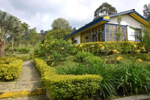 une maison avec un jardin orné de fleurs jaunes dans l'établissement El Rancho de Salento, à Salento