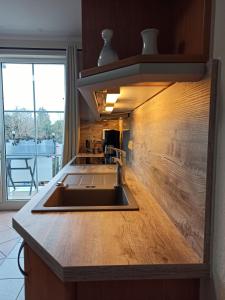 a kitchen with a sink and a wooden wall at Appartment Relaxtage in Zingst