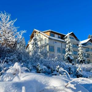 budynek pokryty śniegiem przed drzewami w obiekcie SW Apartamenty Czarna Góra w mieście Sienna