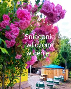 un montón de rosas rosas en un jardín en Willa Zamkowisko z ogrodowym jacuzzi en Gołubie