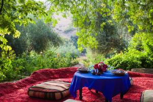 Zahrada ubytování Kasbah Beldi