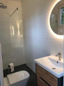 een badkamer met een wastafel, een toilet en een spiegel bij Vakantiewoning Mystiek in Zutendaal