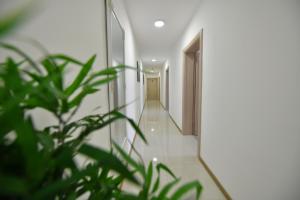 Bilde i galleriet til West in apartments i Čačak