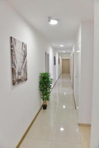 Bilde i galleriet til West in apartments i Čačak