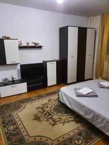 Schlafzimmer mit einem Bett, Schränken und einem Teppich in der Unterkunft RazDav Straja Central in Lupeni
