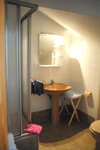 a bathroom with a sink and a mirror at Haus Kathrin 