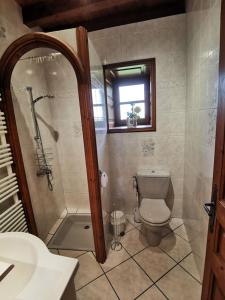 a bathroom with a toilet and a shower and a sink at Gite du platane in Grazac