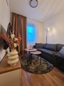 - un salon avec un canapé bleu et une table dans l'établissement Maxx Apartmani Obucina Kapije, à Jahorina