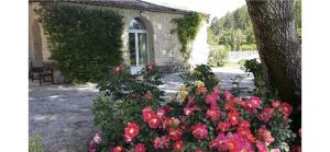 a bunch of flowers in front of a house at Gîte Le Sirocco Meublé de tourisme 4 étoiles Le Moulin de Prédelles in Reillanne