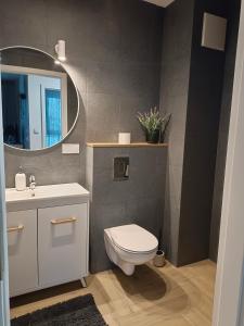 łazienka z toaletą, umywalką i lustrem w obiekcie Apartament Kilińskiego w Siedlcach