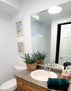 ein Badezimmer mit einem Waschbecken, einem WC und einem Spiegel in der Unterkunft Cozy 2-bedroom lower unit! in Barrie
