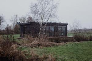 a small shack in a field with a tree at De Veenweide in De Veenhoop