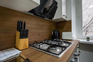 a kitchen with a stove and a counter top at Central Apartments Vienna in Vienna