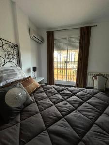 a bedroom with a large bed and a window at Casa Emilio in Pulianas