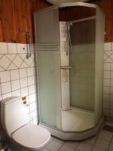 a bathroom with a toilet and a glass shower at Barts house 