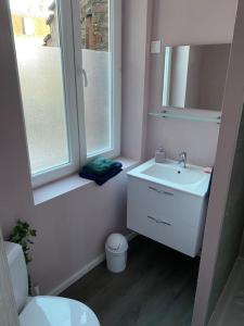 uma casa de banho com um lavatório, um WC e 2 janelas. em Cambrai splendide studio au calme em Cambrai