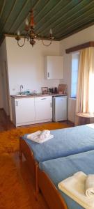 um quarto com duas camas e uma cozinha em ΠΑΝΟΡΑΜΑ ΤΣΕΠΕΛΟΒΟΥ em Tsepelovo