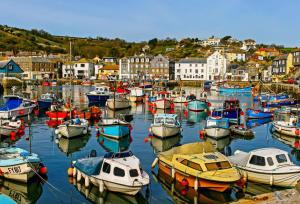 a bunch of boats are docked in a harbor at Cliff Cottage in Gorran Haven