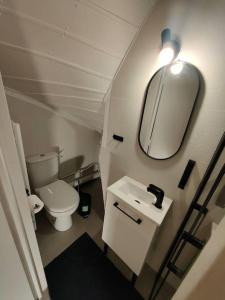 Koupelna v ubytování joli appartement au pied du Tramway